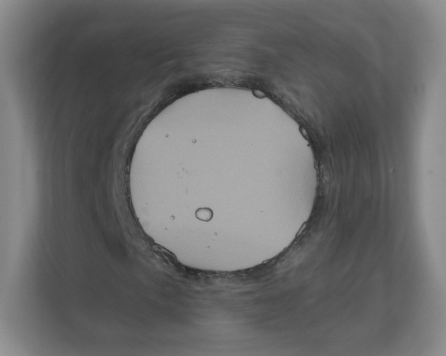 X0000111831057200908201146