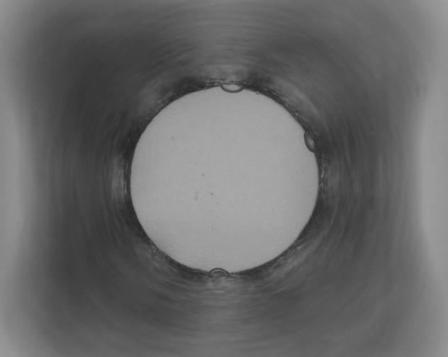 X0000111831058200908201146