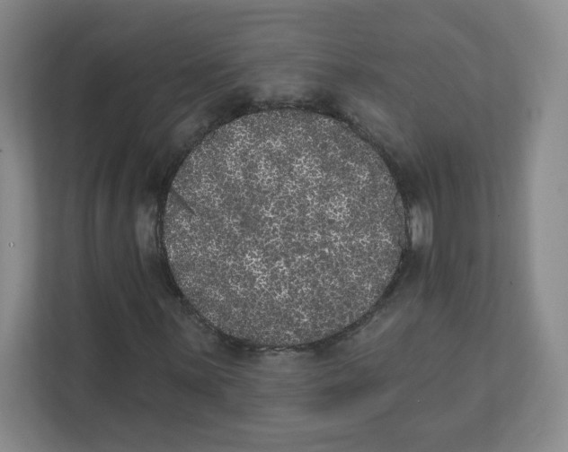 X0000111831059200908201146