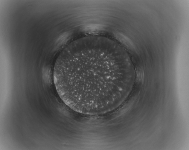 X0000111831060200908201146