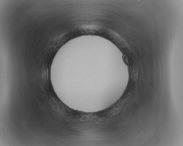 X0000111831061200908201146