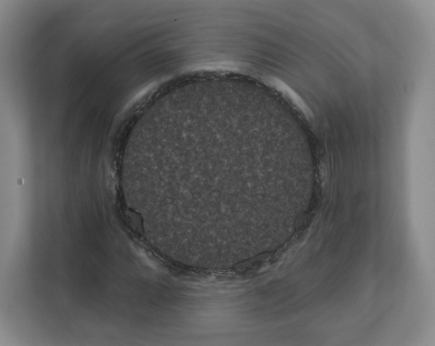 X0000111831064200908201146