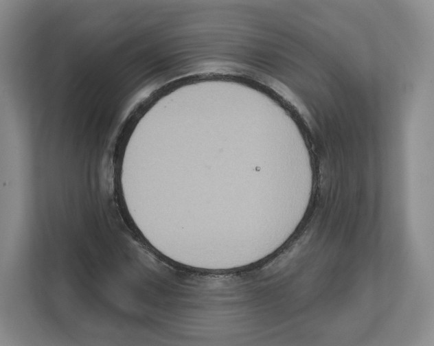 X0000111831067200908201146