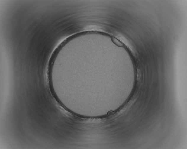 X0000111831068200908201146