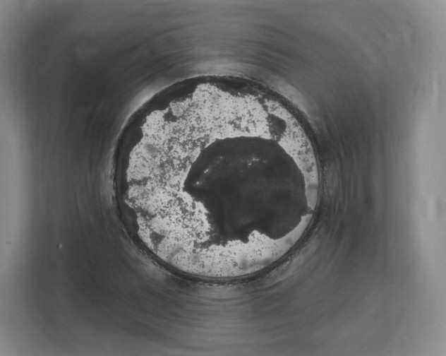 X0000111831071200908201146