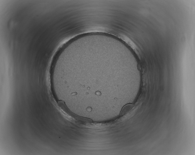 X0000111831072200908201146