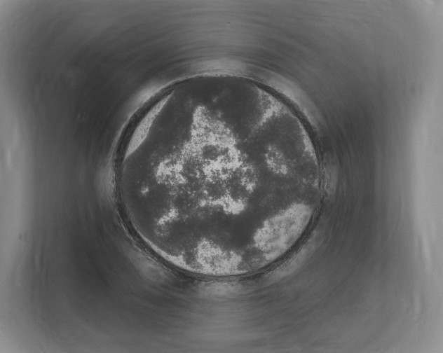 X0000111831074200908201146