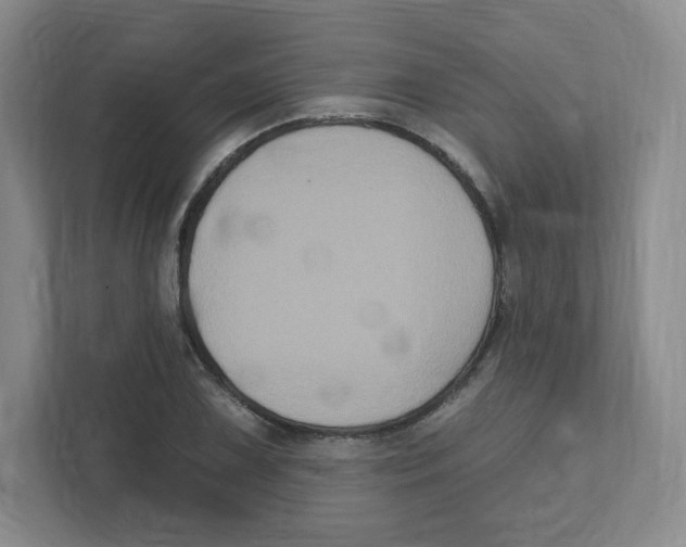 X0000111831075200908201146