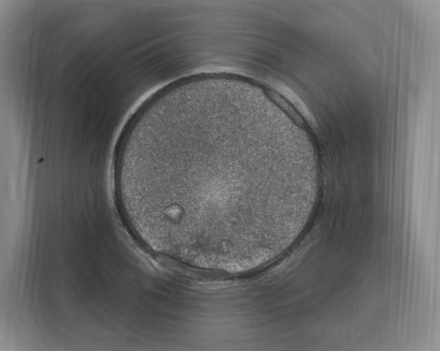 X0000111831076200908201146