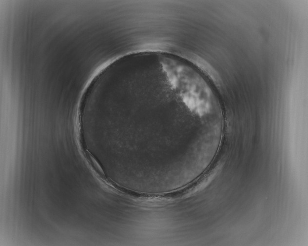 X0000111831077200908201146