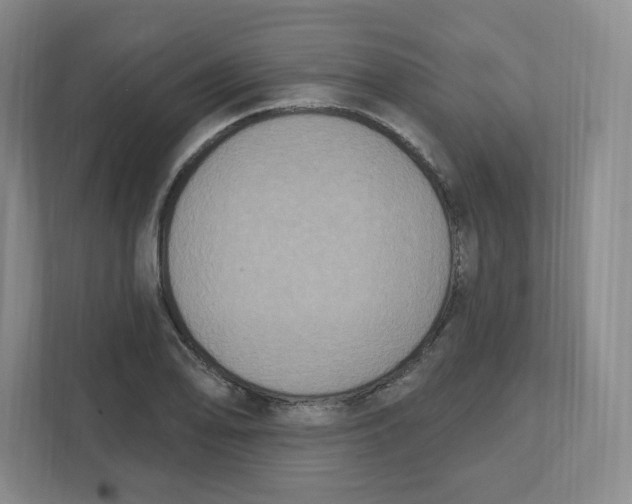 X0000111831078200908201146