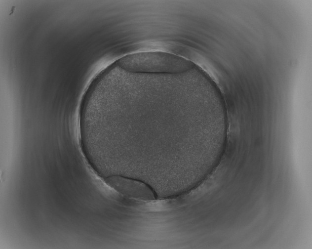 X0000111831080200908201146