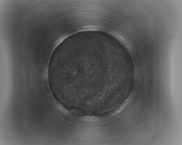 X0000111831081200908201146