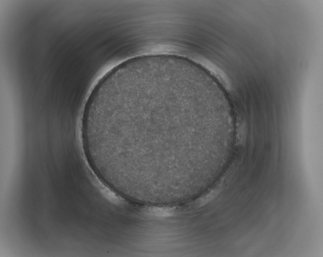 X0000111831086200908201146