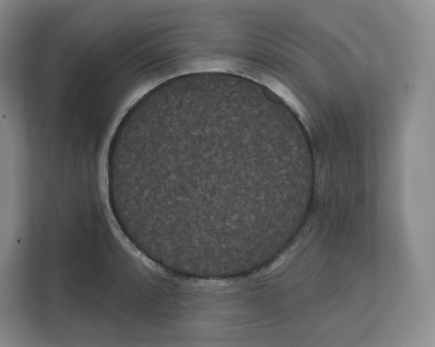 X0000111831088200908201146