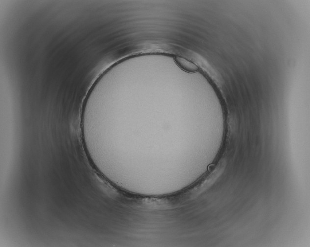 X0000111831089200908201146