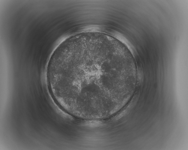 X0000111831090200908201146