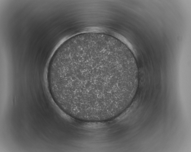 X0000111831091200908201146