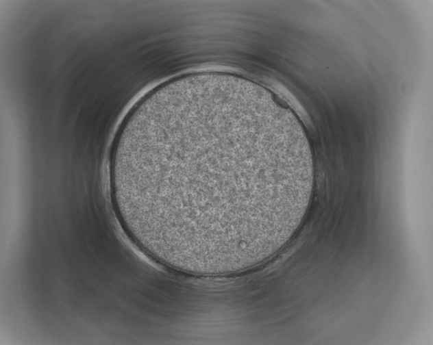 X0000111831092200908201146