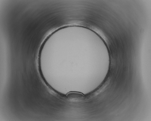 X0000111831093200908201146