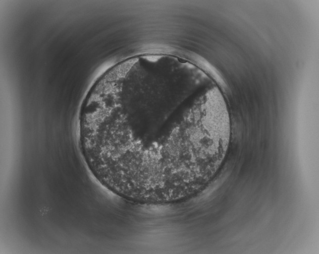 X0000111831095200908201146