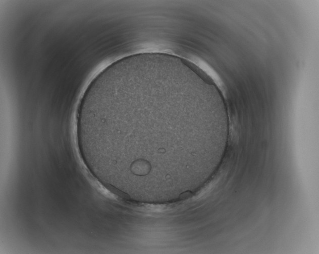 X0000111831096200908201146