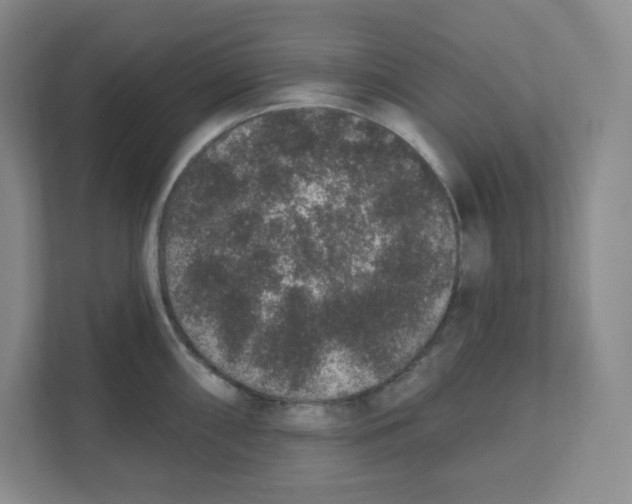 X0000111831098200908201146