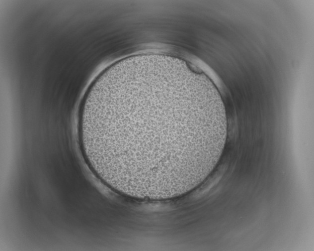 X0000111831099200908201146