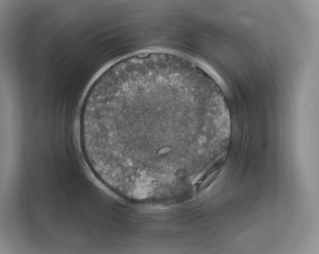 X0000111831100200908201146