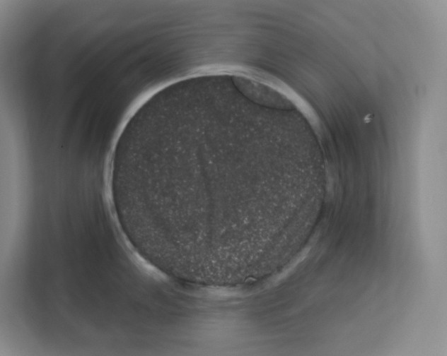 X0000111831102200908201146