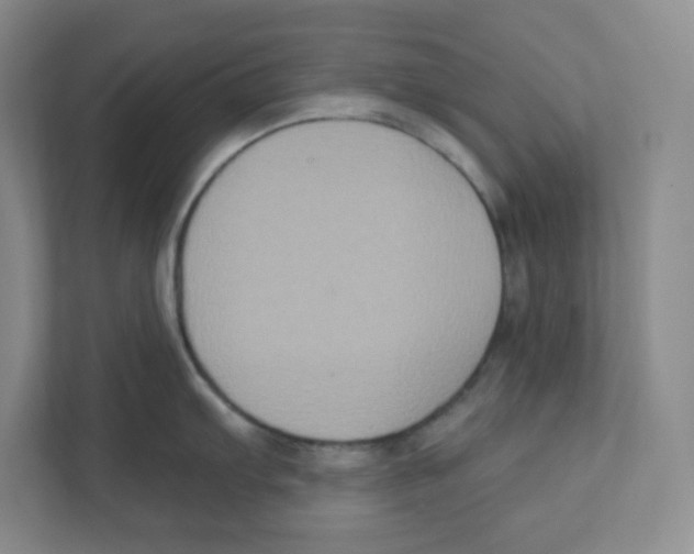 X0000111831103200908201146