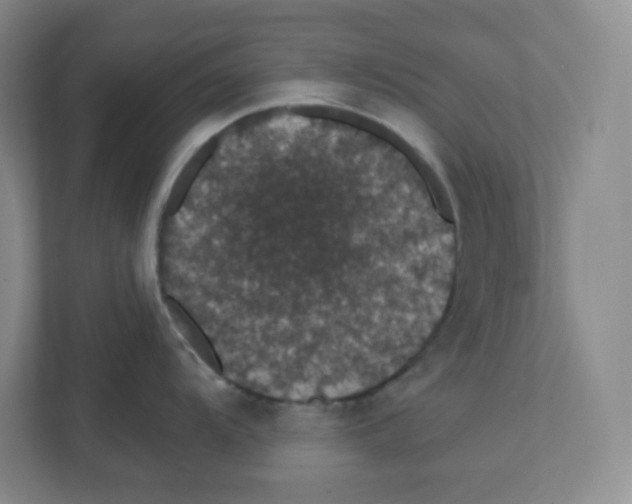 X0000111831104200908201146