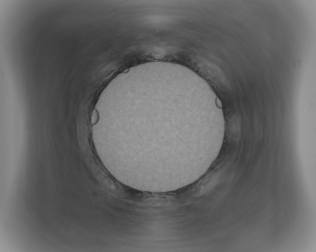 X0000111831105200908201145