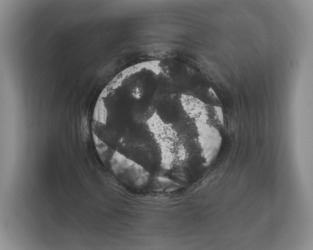 X0000111831106200908201145