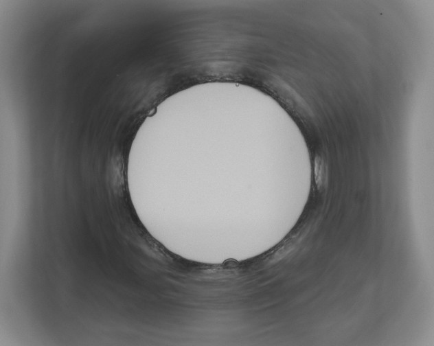 X0000111831107200908201145