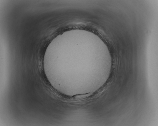 X0000111831109200908201145