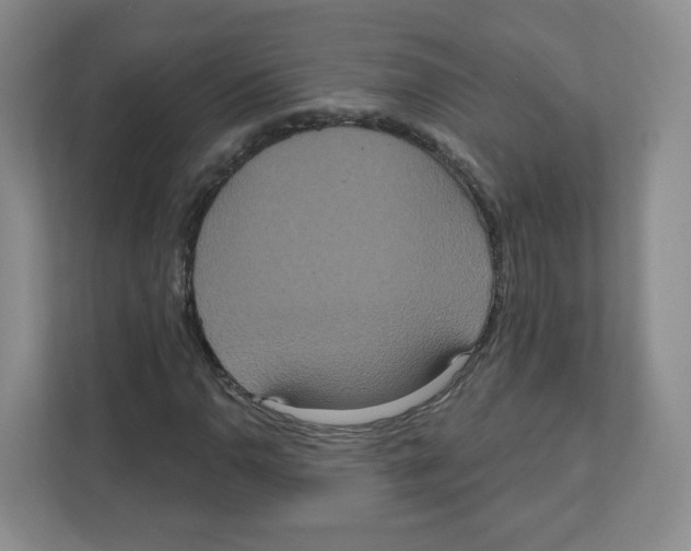 X0000111831110200908201145