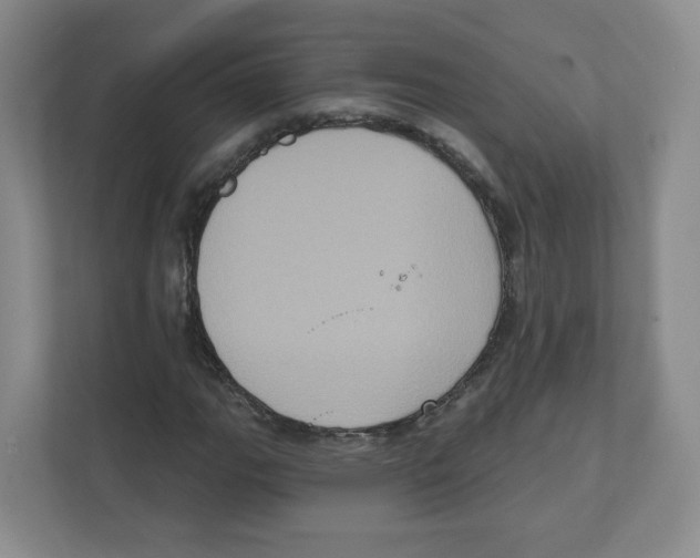 X0000111831111200908201145