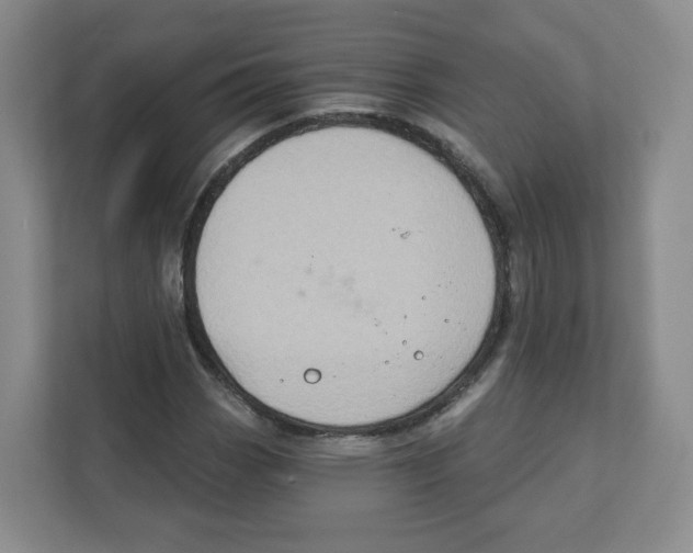 X0000111831113200908201145