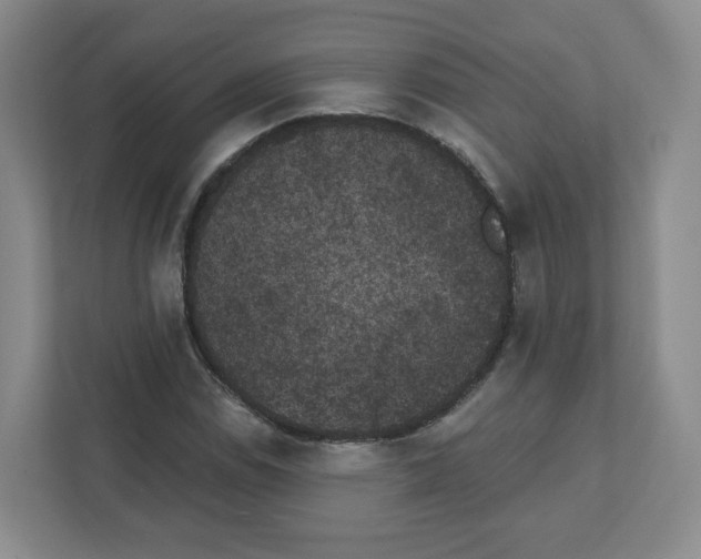 X0000111831114200908201145