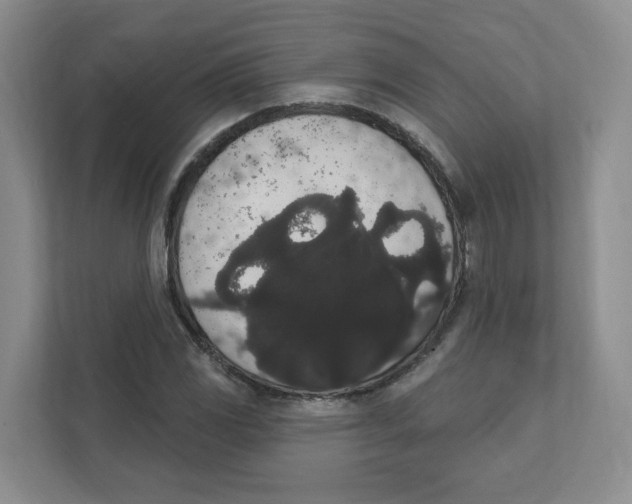 X0000111831117200908201145