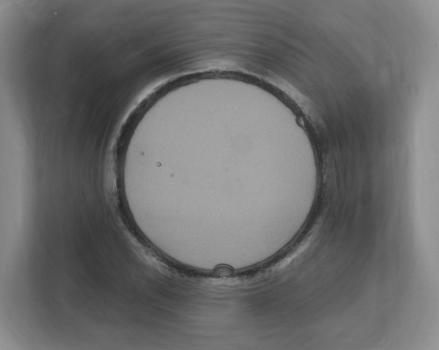 X0000111831118200908201145