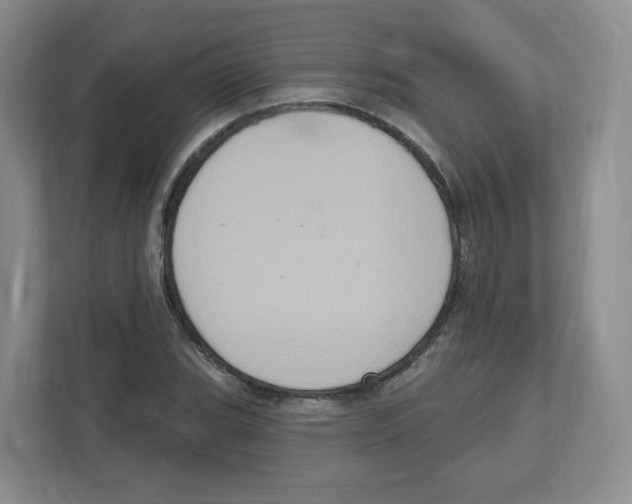 X0000111831119200908201145