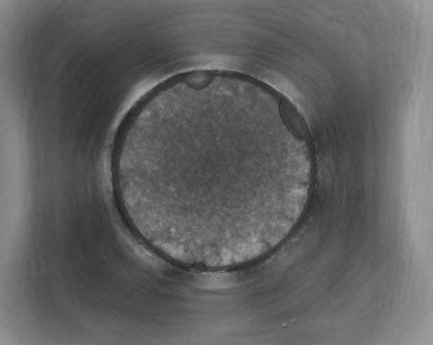 X0000111831120200908201145