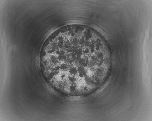 X0000111831121200908201145