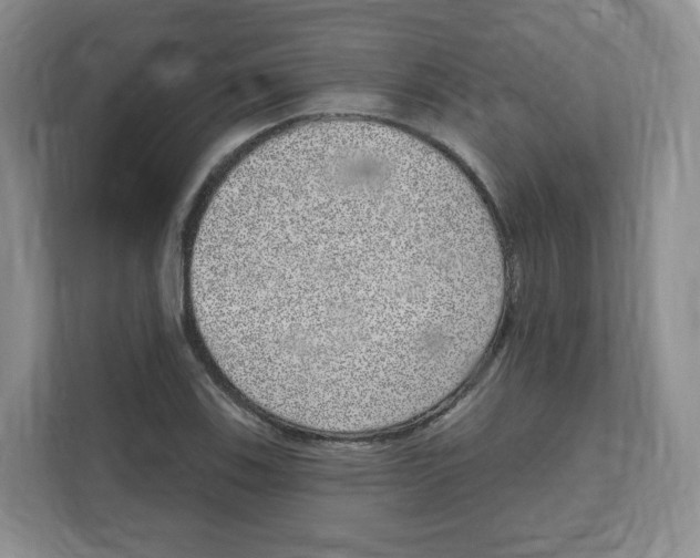 X0000111831123200908201145