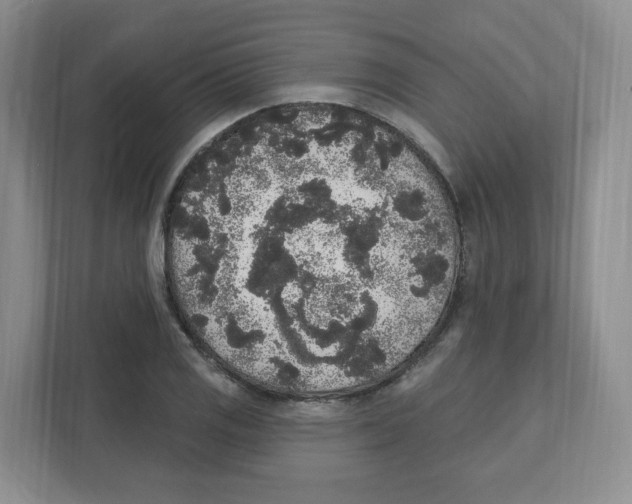 X0000111831125200908201145