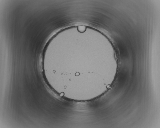 X0000111831126200908201145