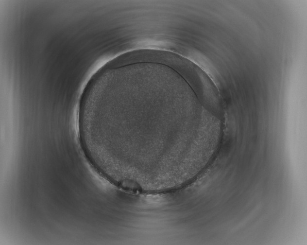 X0000111831128200908201145