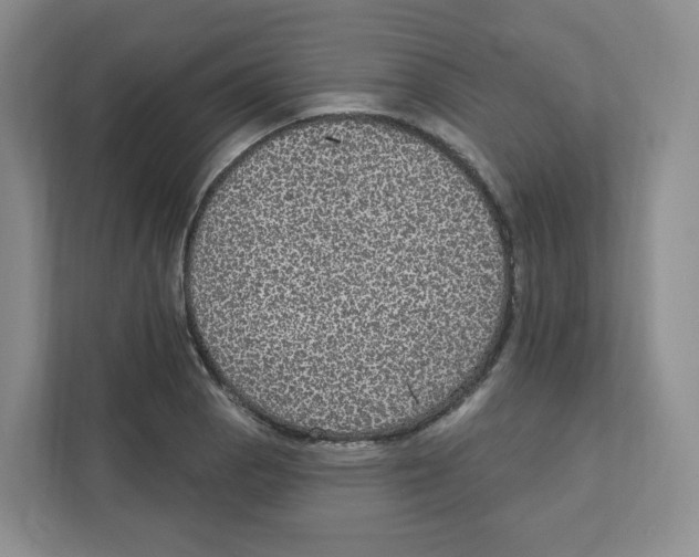 X0000111831129200908201145